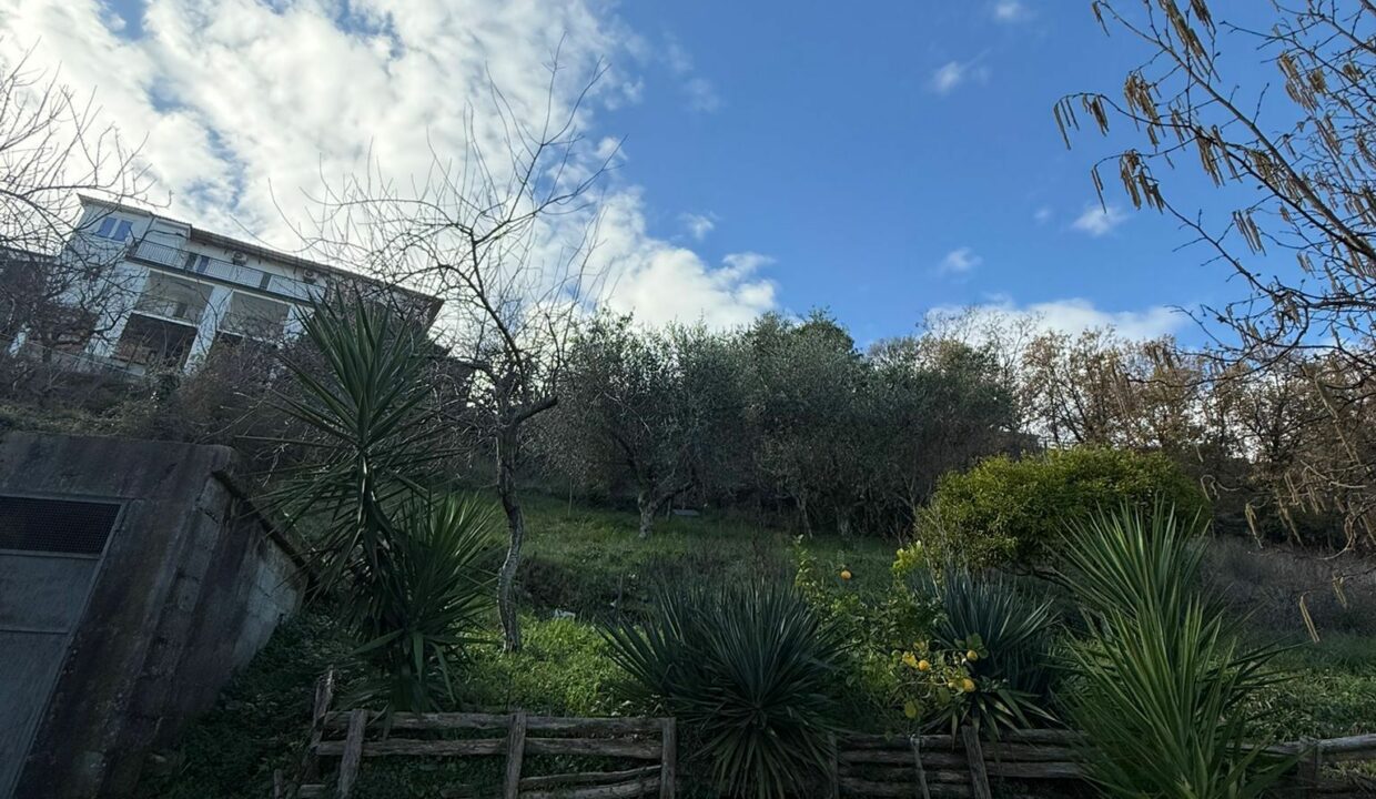 WhatsApp Image 2026-01-17 at 12.47.28 (6)