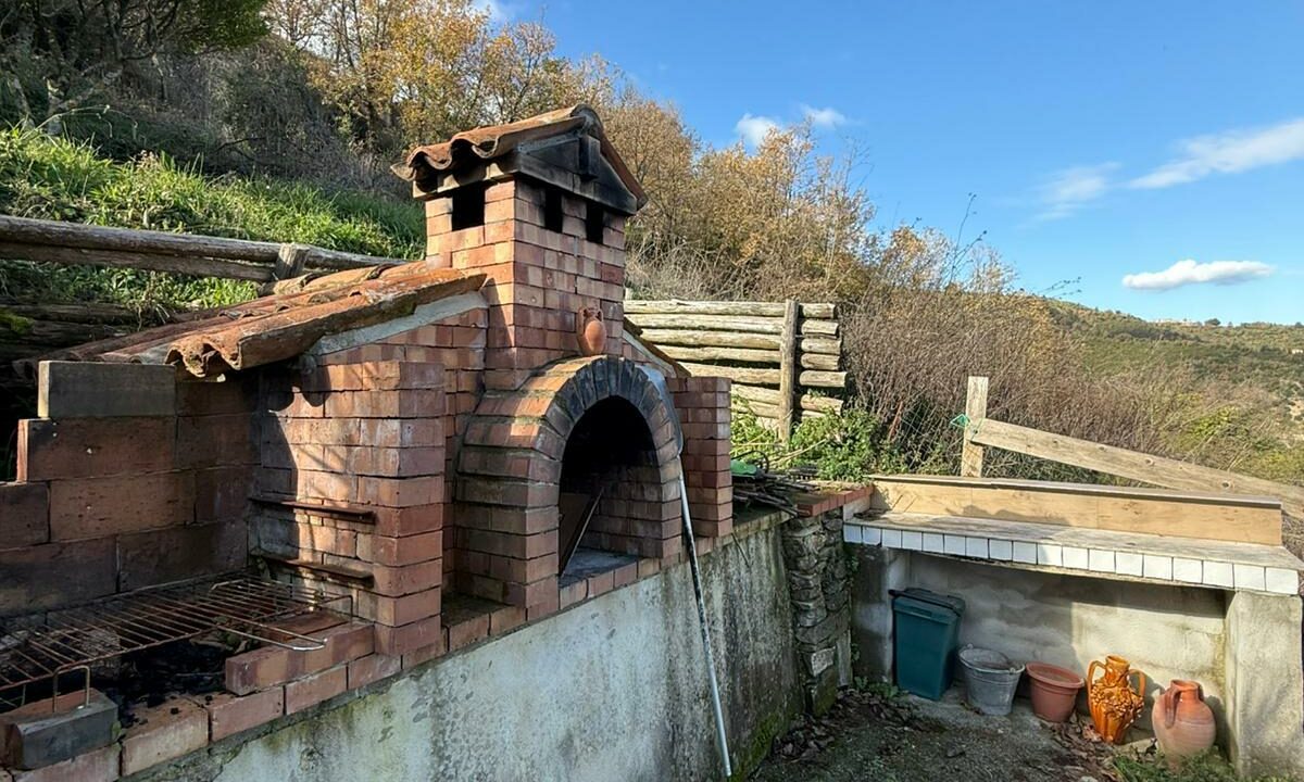 WhatsApp Image 2026-01-17 at 12.47.28 (7)