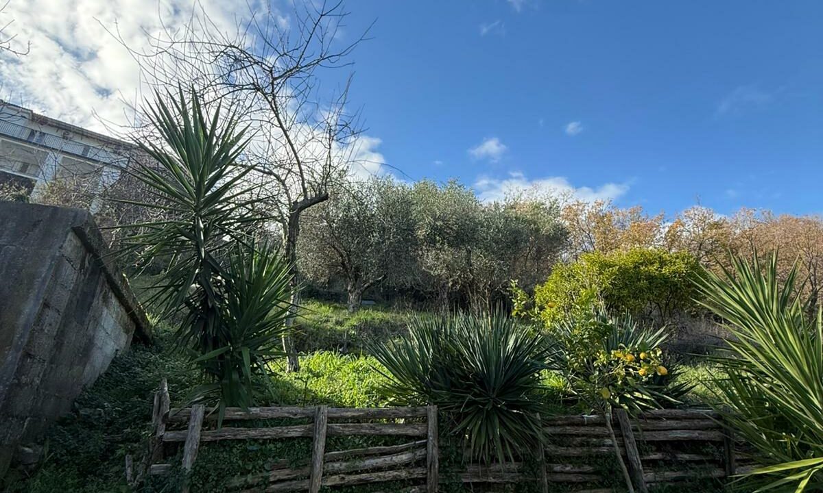 WhatsApp Image 2026-01-17 at 12.47.28 (8)