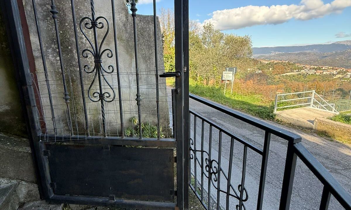 WhatsApp Image 2026-01-17 at 12.47.29 (1)