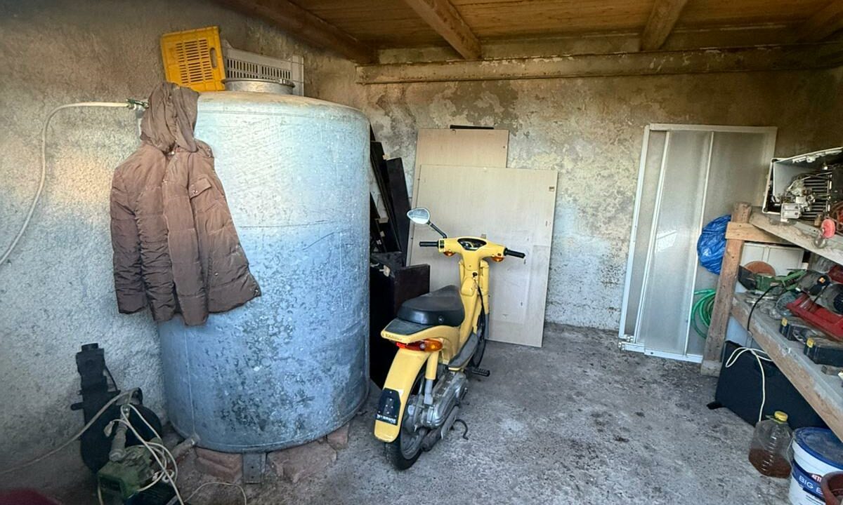 WhatsApp Image 2026-01-17 at 12.47.29 (5)