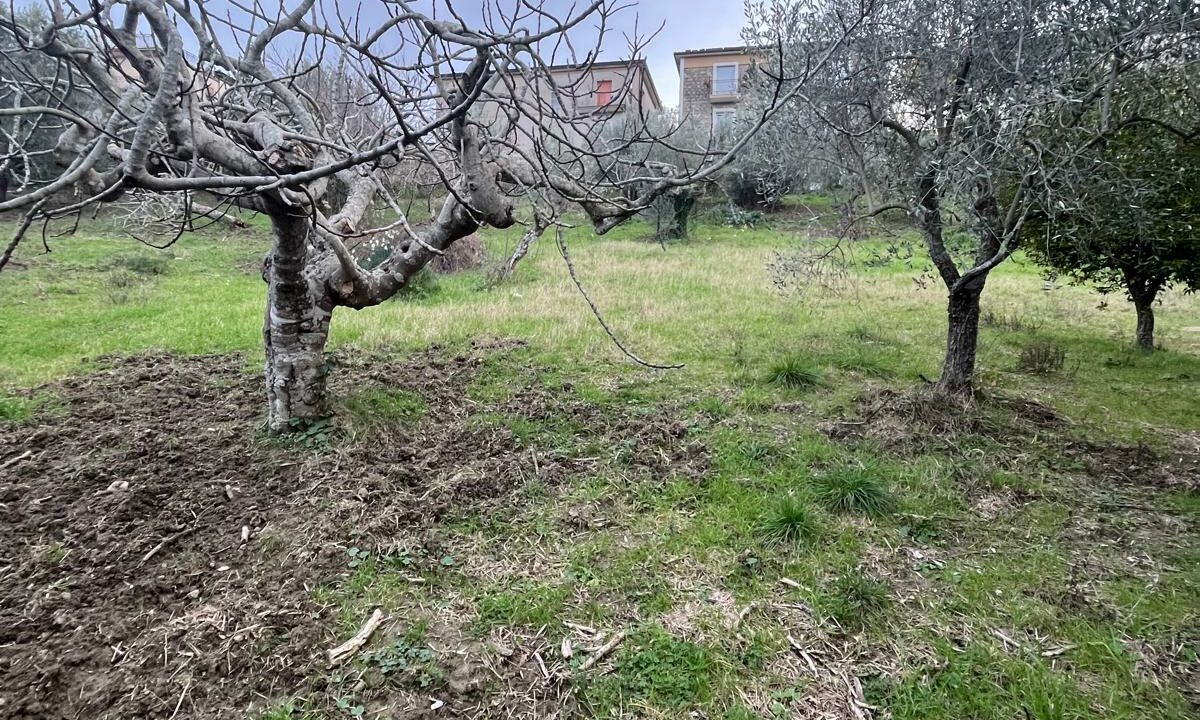 WhatsApp Image 2026-01-21 at 16.32.55 (1)