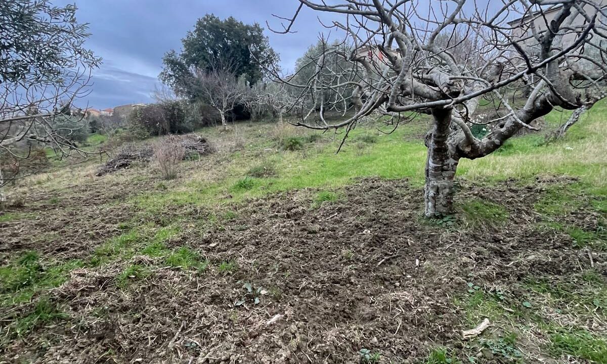 WhatsApp Image 2026-01-21 at 16.32.55