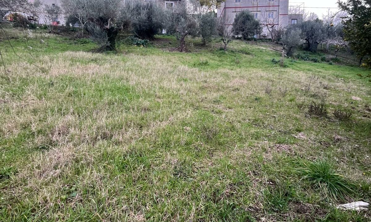 WhatsApp Image 2026-01-21 at 16.32.55 (3)