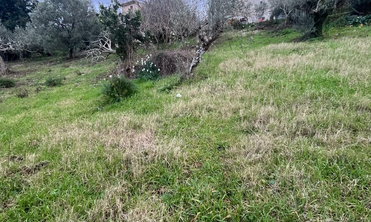 WhatsApp Image 2026-01-21 at 16.32.55 (4)