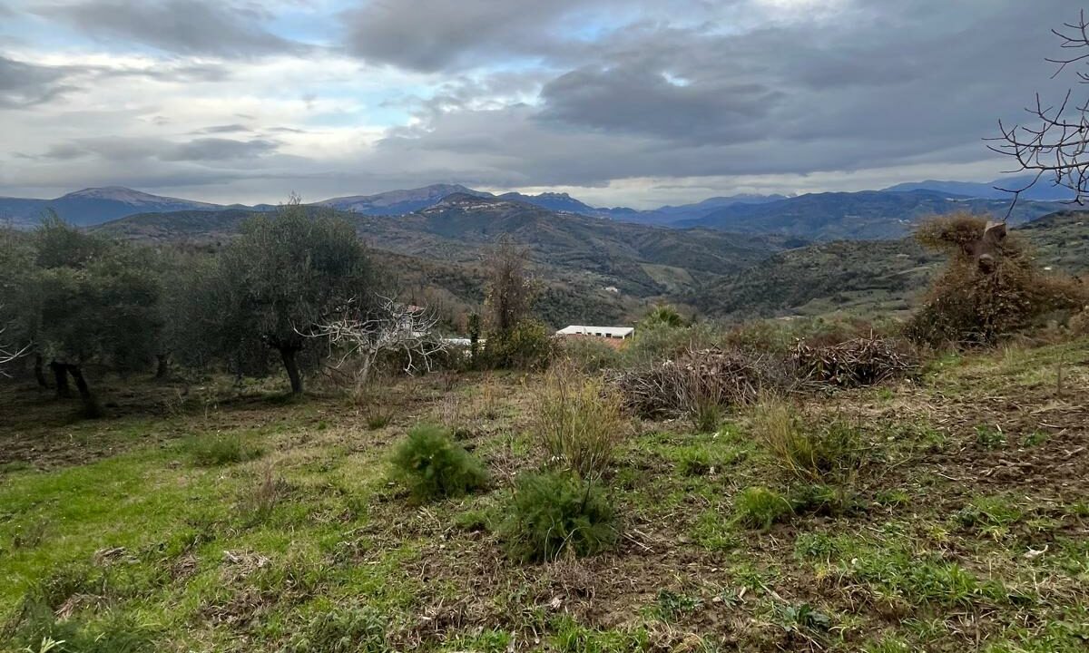 WhatsApp Image 2026-01-21 at 16.32.55 (5)