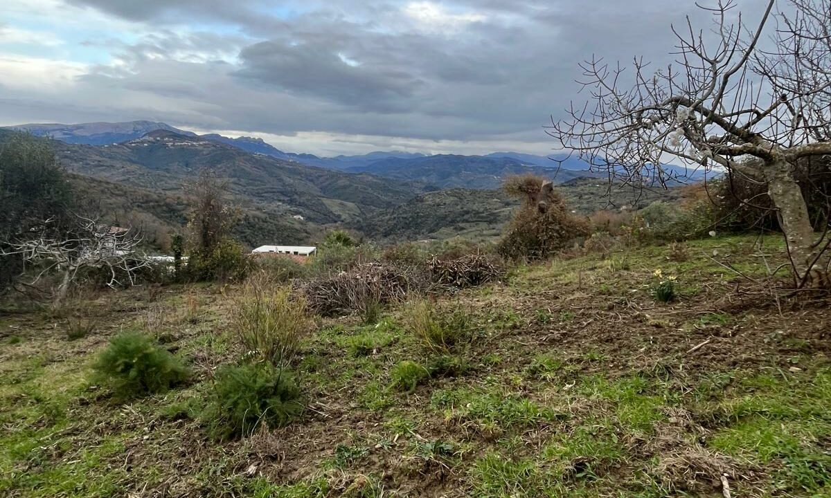 WhatsApp Image 2026-01-21 at 16.32.55 (8)