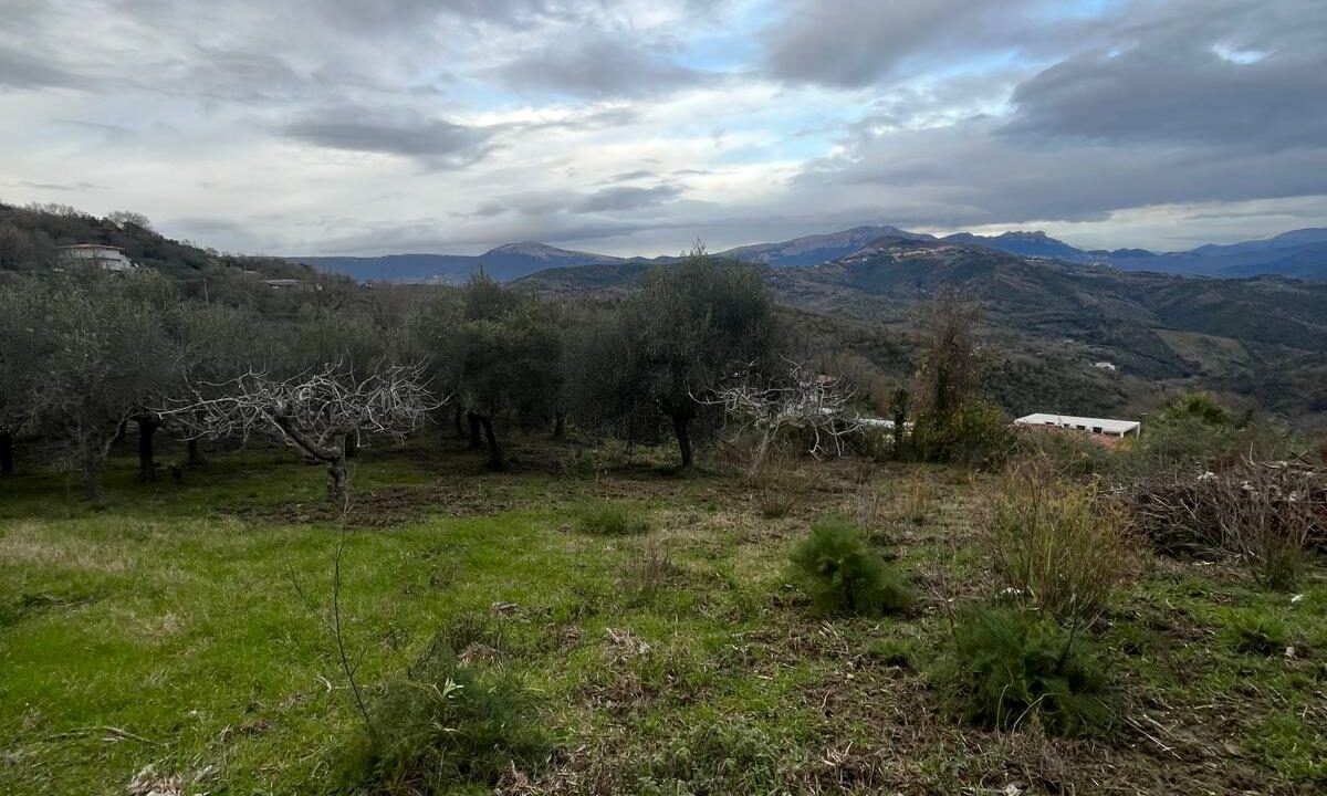 WhatsApp Image 2026-01-21 at 16.32.55 (9)