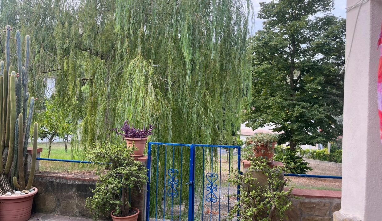 WhatsApp Image 2026-01-26 at 10.18.29 (3)