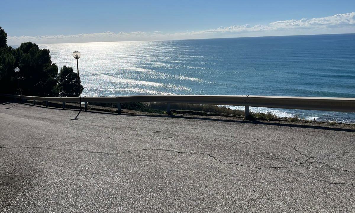 WhatsApp Image 2026-01-27 at 11.28.15