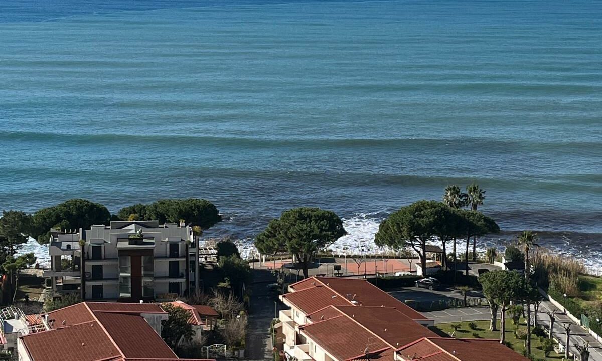 WhatsApp Image 2026-01-27 at 11.28.15 (2)