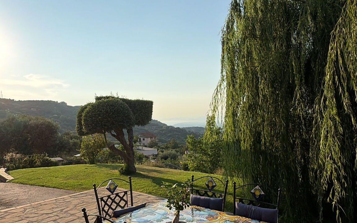 WhatsApp Image 2026-06-26 at 19.13.28