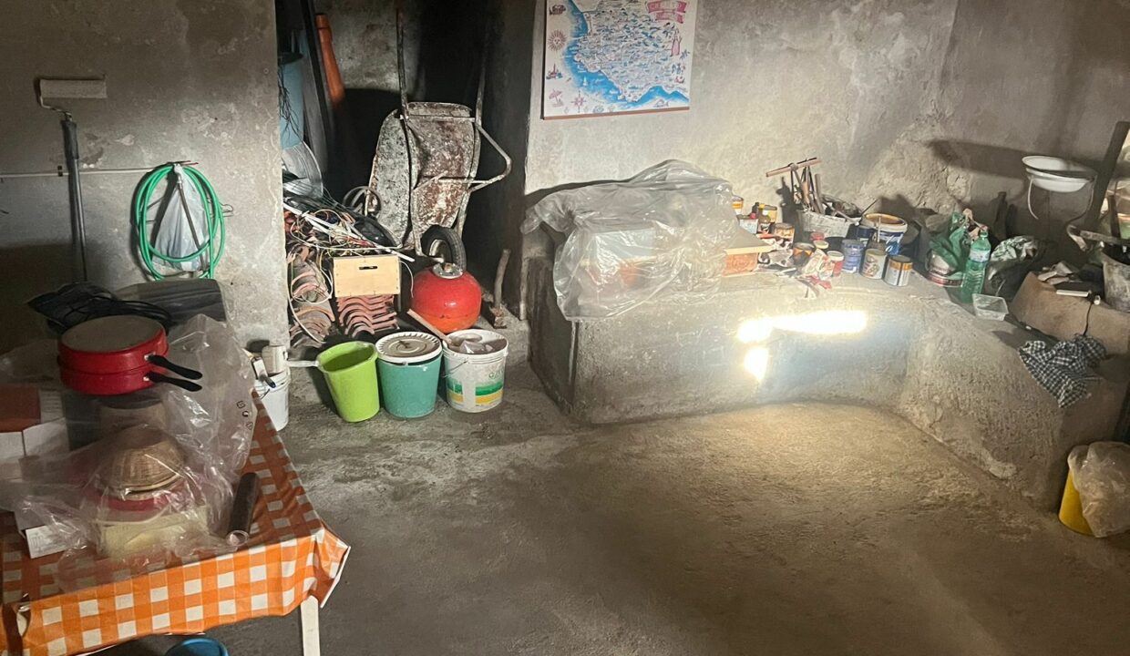 WhatsApp Image 2026-01-24 at 16.43.46 (8)