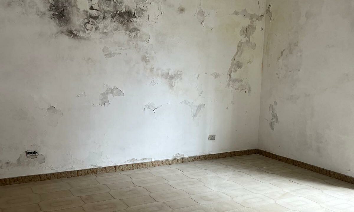 WhatsApp Image 2026-02-05 at 11.44.30