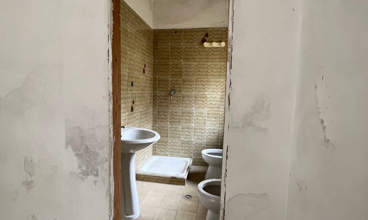 WhatsApp Image 2026-02-05 at 11.44.31 (3)