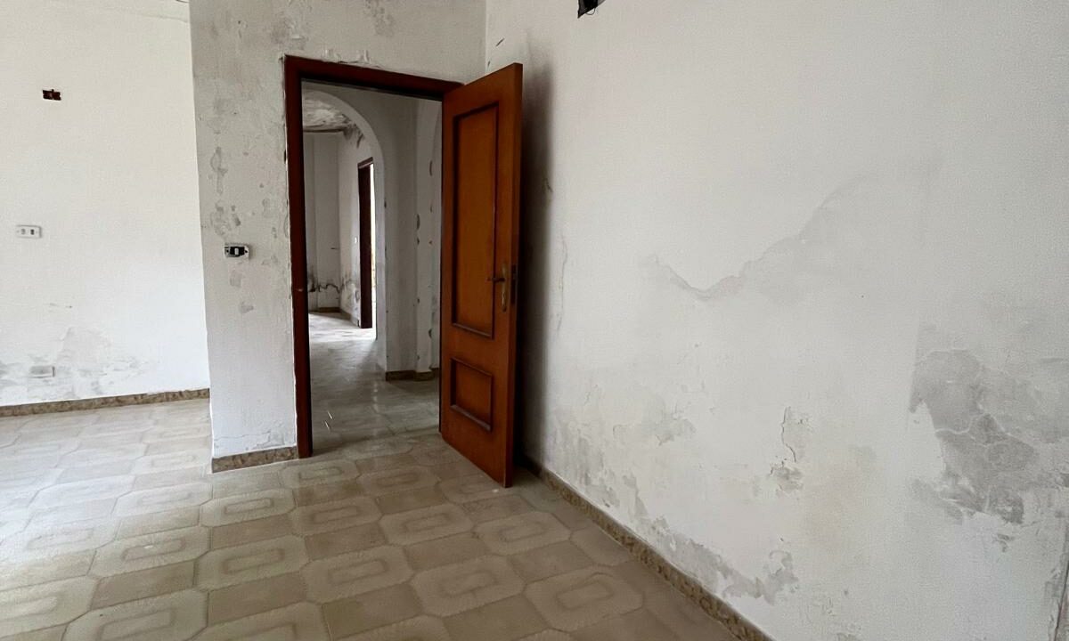 WhatsApp Image 2026-02-05 at 11.44.31 (4)