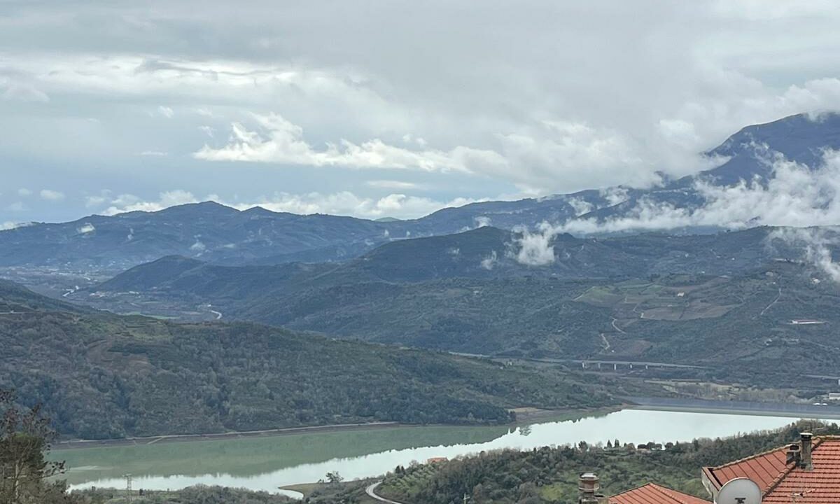 WhatsApp Image 2026-02-05 at 11.44.32