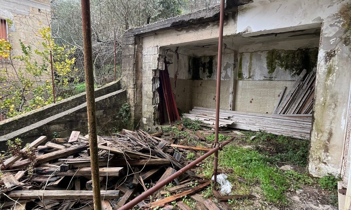 WhatsApp Image 2026-02-05 at 11.44.32 (4)