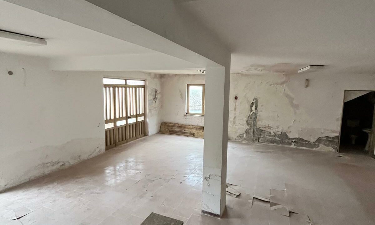 WhatsApp Image 2026-02-05 at 11.44.32 (7)