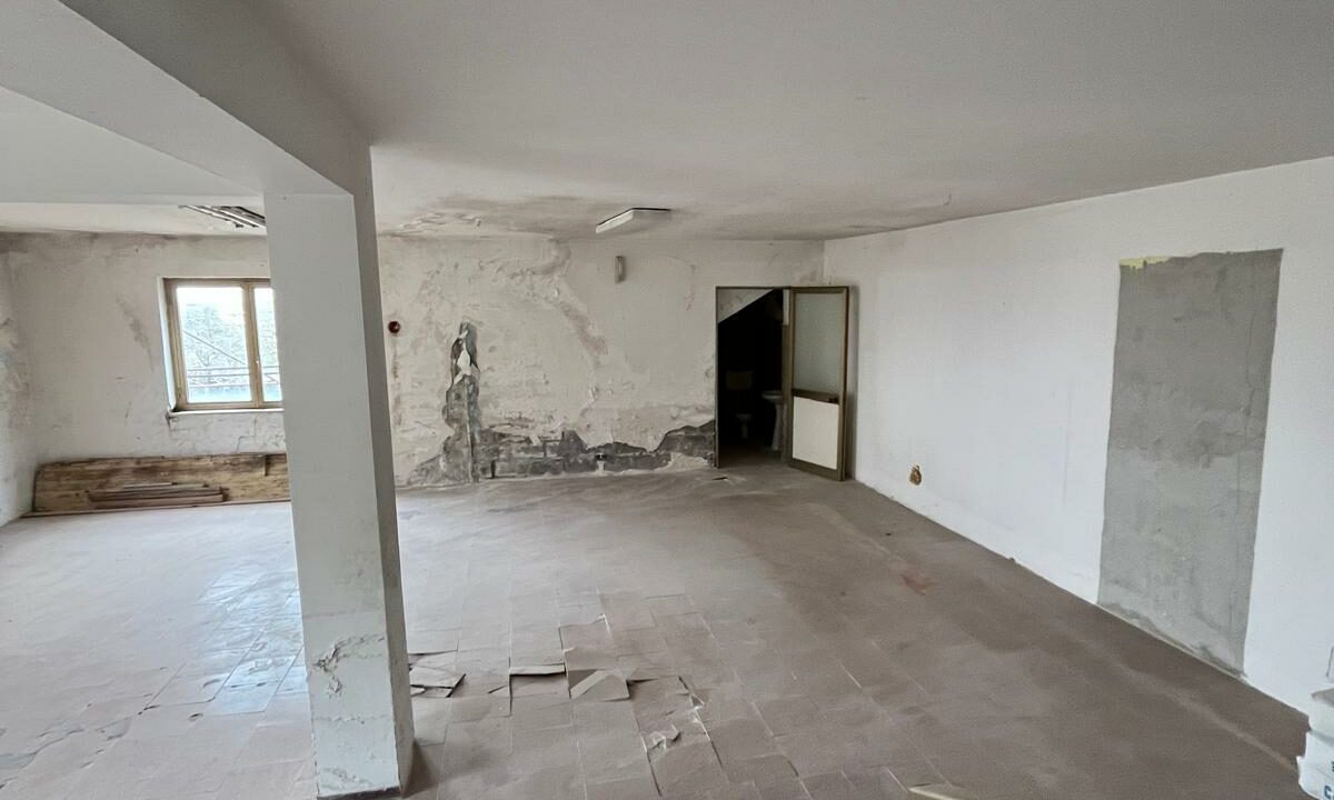 WhatsApp Image 2026-02-05 at 11.44.33