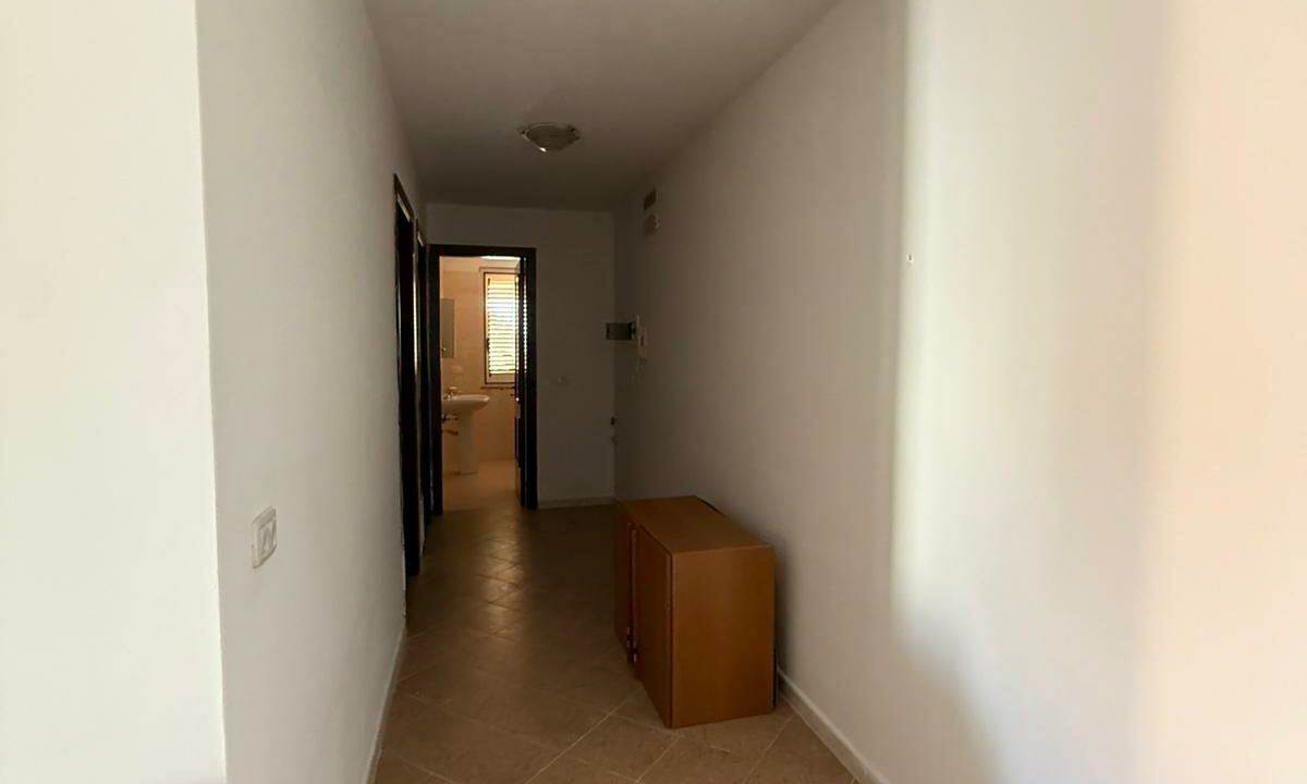 WhatsApp Image 2026-02-18 at 12.19.54 (1)