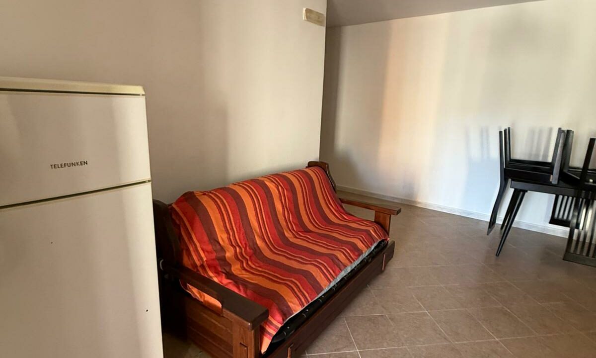 WhatsApp Image 2026-02-18 at 12.19.54