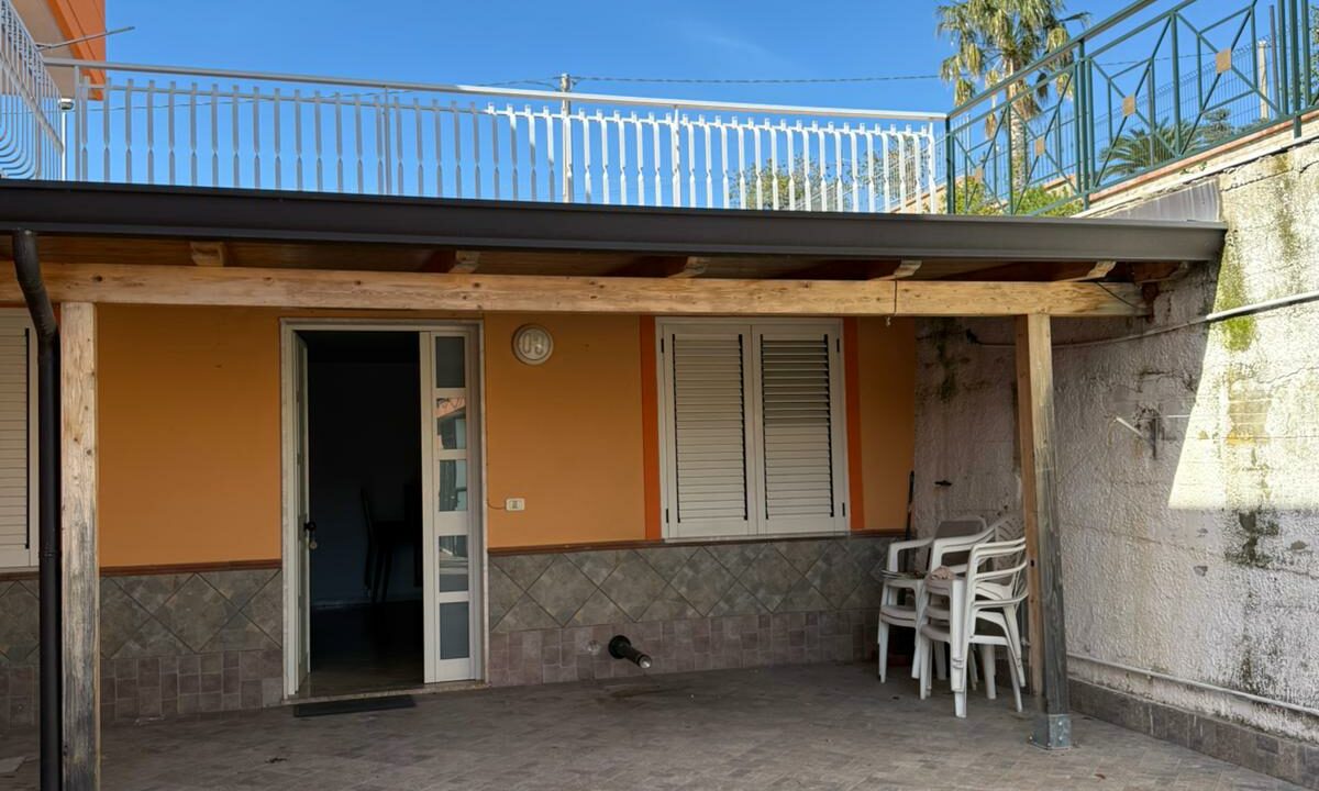 WhatsApp Image 2026-02-18 at 12.19.54 (9)