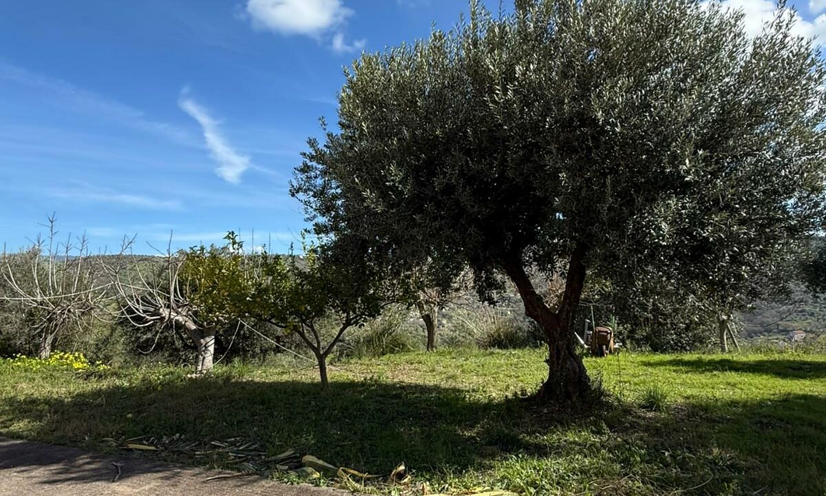 WhatsApp Image 2026-02-18 at 12.19.55