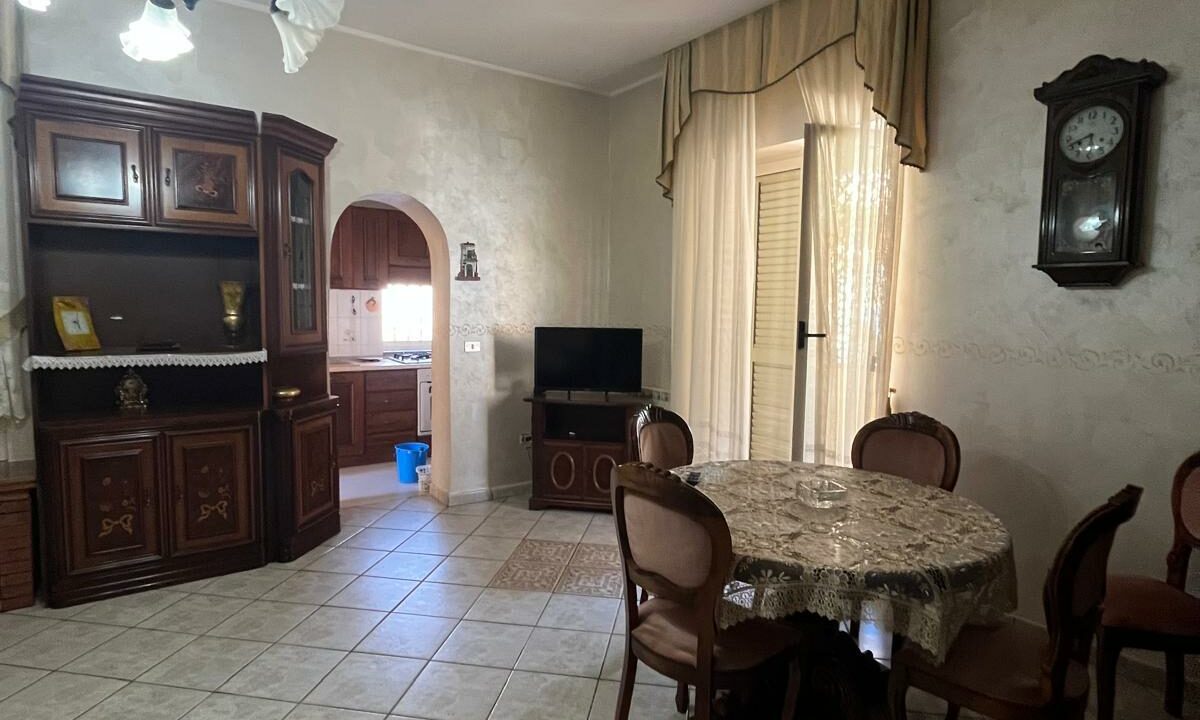 WhatsApp Image 2026-02-25 at 12.46.54