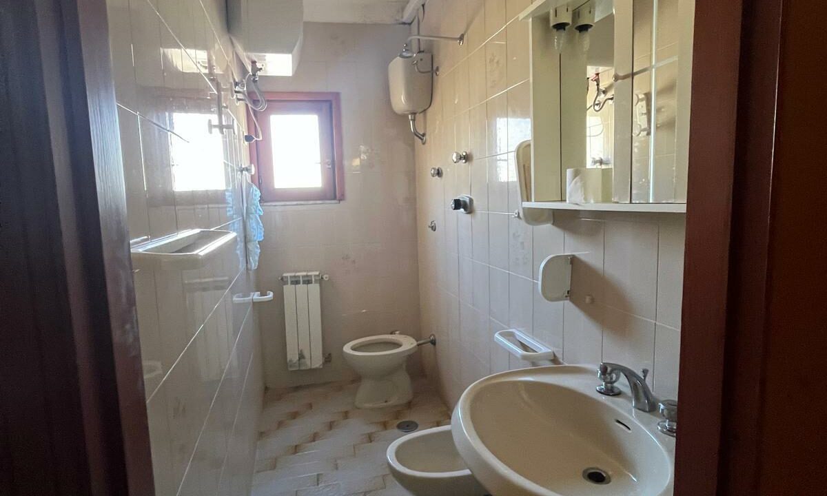 WhatsApp Image 2026-02-25 at 12.46.56