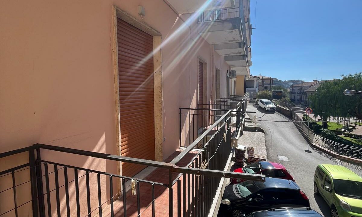 WhatsApp Image 2026-02-25 at 12.46.56 (2)