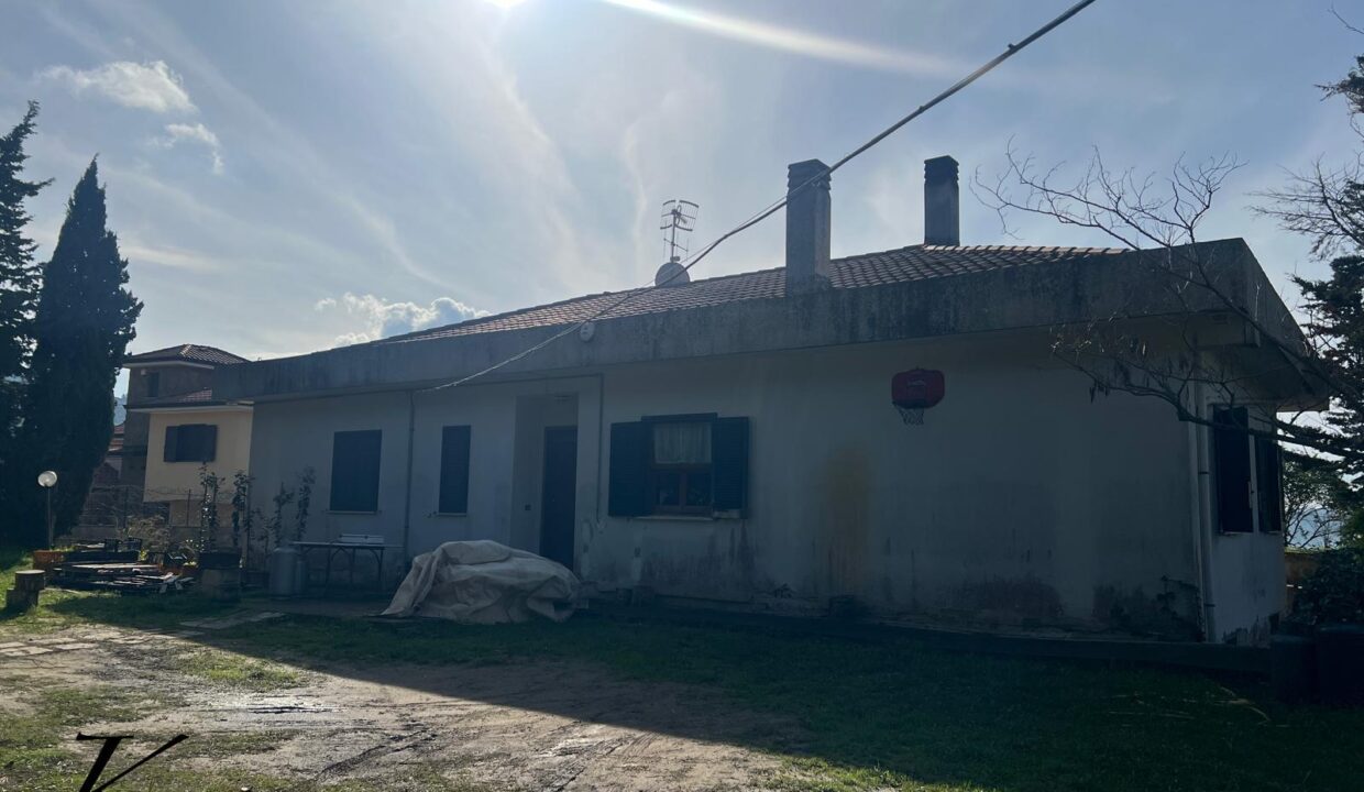 WhatsApp Image 2026-01-23 at 16.00.50 (4)