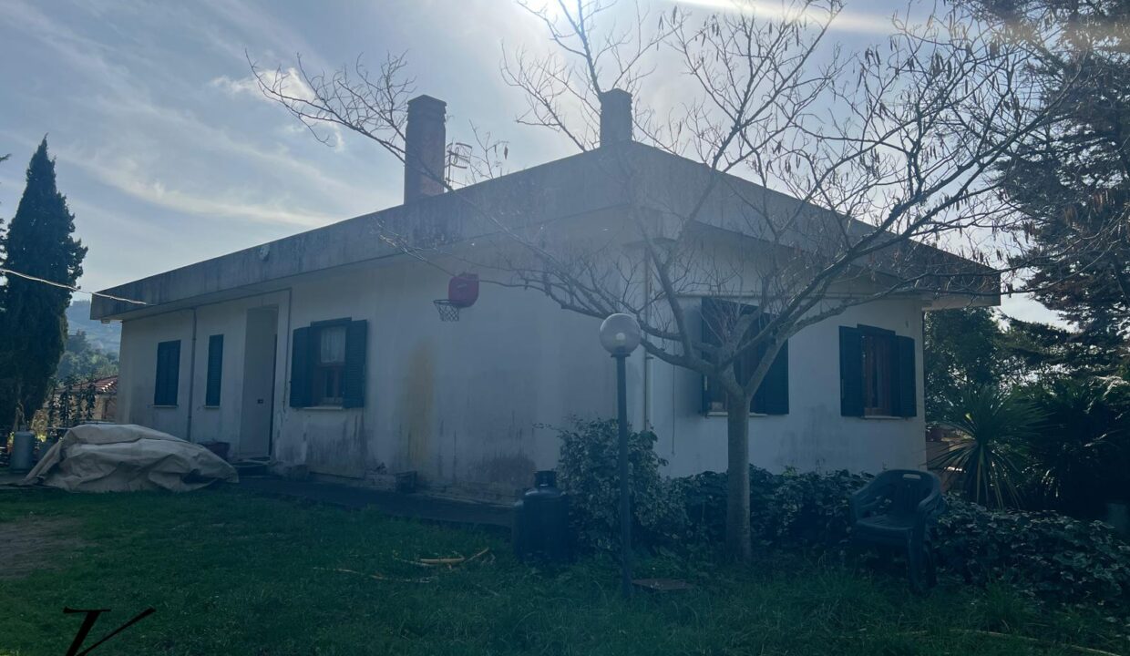 WhatsApp Image 2026-01-23 at 16.00.50 (5)