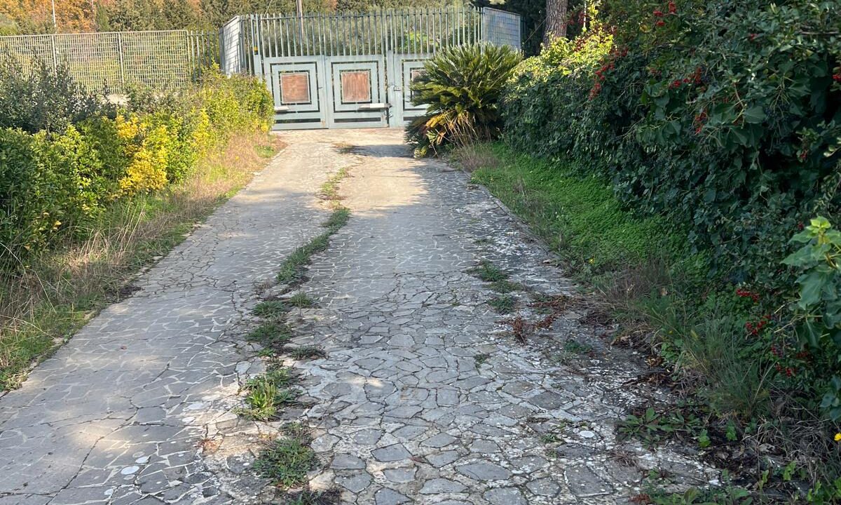 WhatsApp Image 2026-01-23 at 16.00.50 (6)