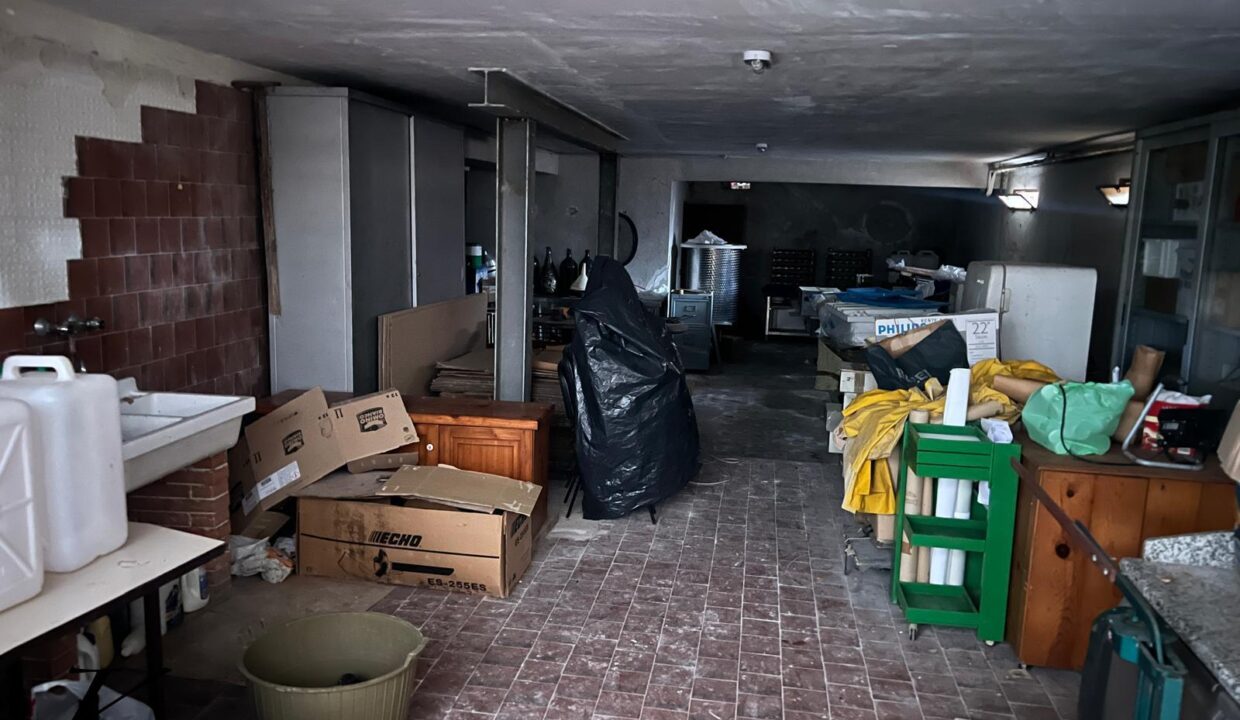 WhatsApp Image 2026-01-23 at 16.00.51 (5)