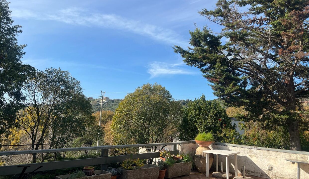 WhatsApp Image 2026-01-23 at 16.00.52 (4)