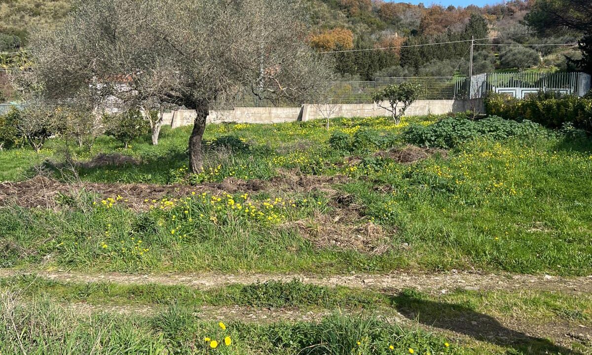 WhatsApp Image 2026-01-23 at 16.00.57 (6)