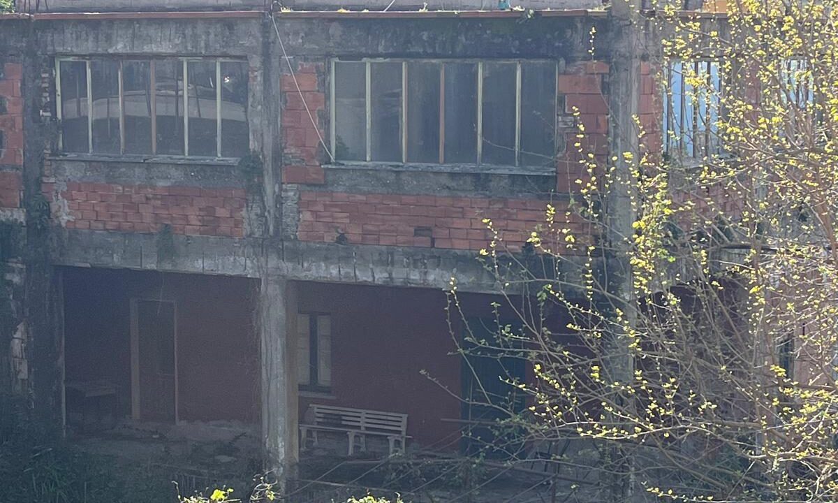 WhatsApp Image 2026-02-23 at 12.10.02 (1)