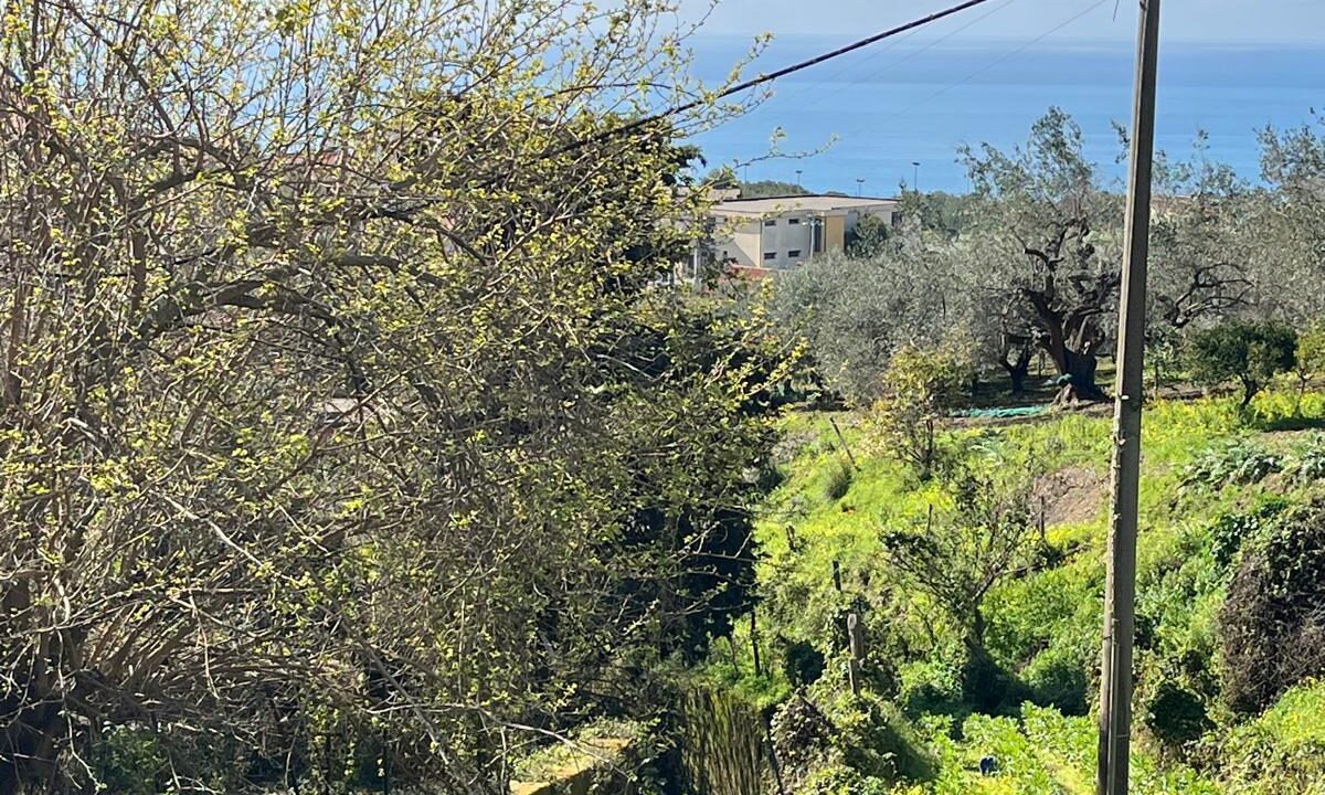 WhatsApp Image 2026-02-23 at 12.10.02 (2)