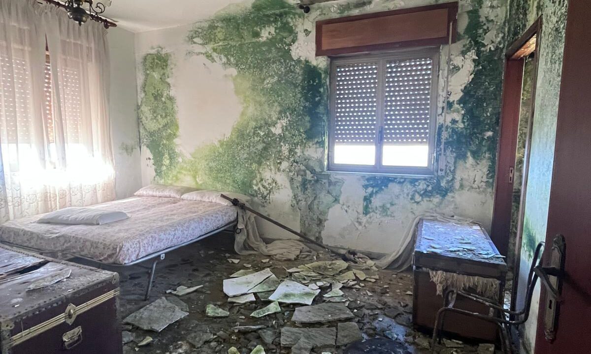 WhatsApp Image 2026-02-23 at 12.10.03 (1)