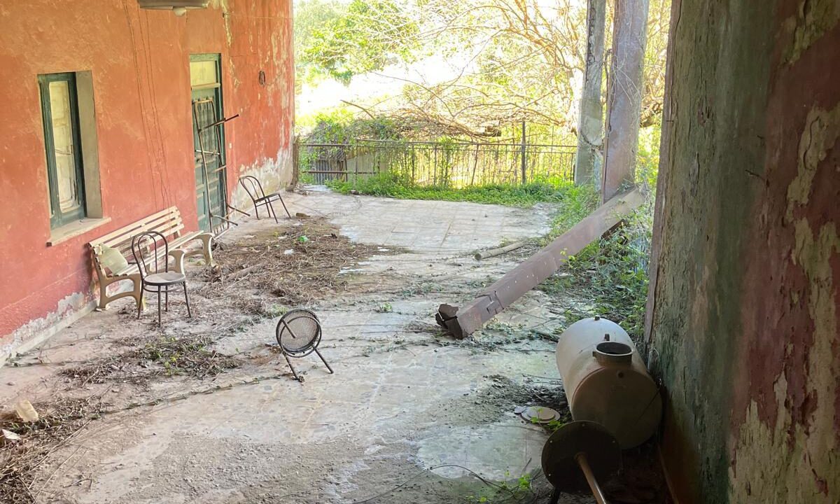 WhatsApp Image 2026-02-23 at 12.10.03 (4)