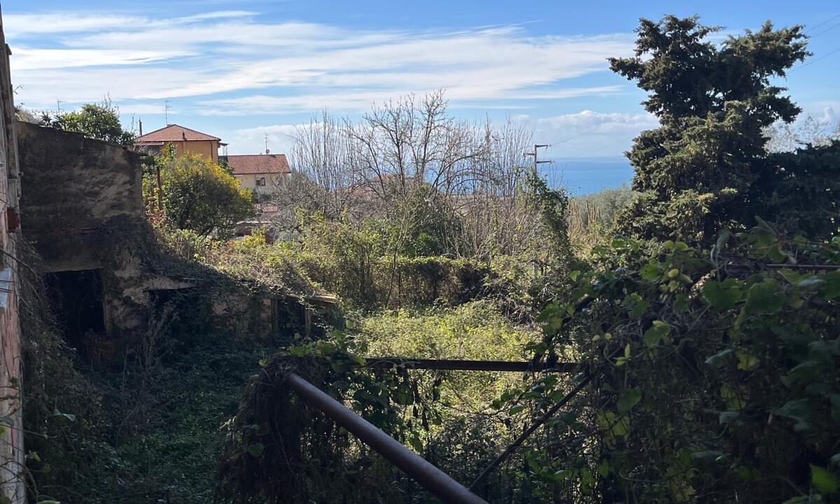 WhatsApp Image 2026-02-23 at 12.10.03 (5)