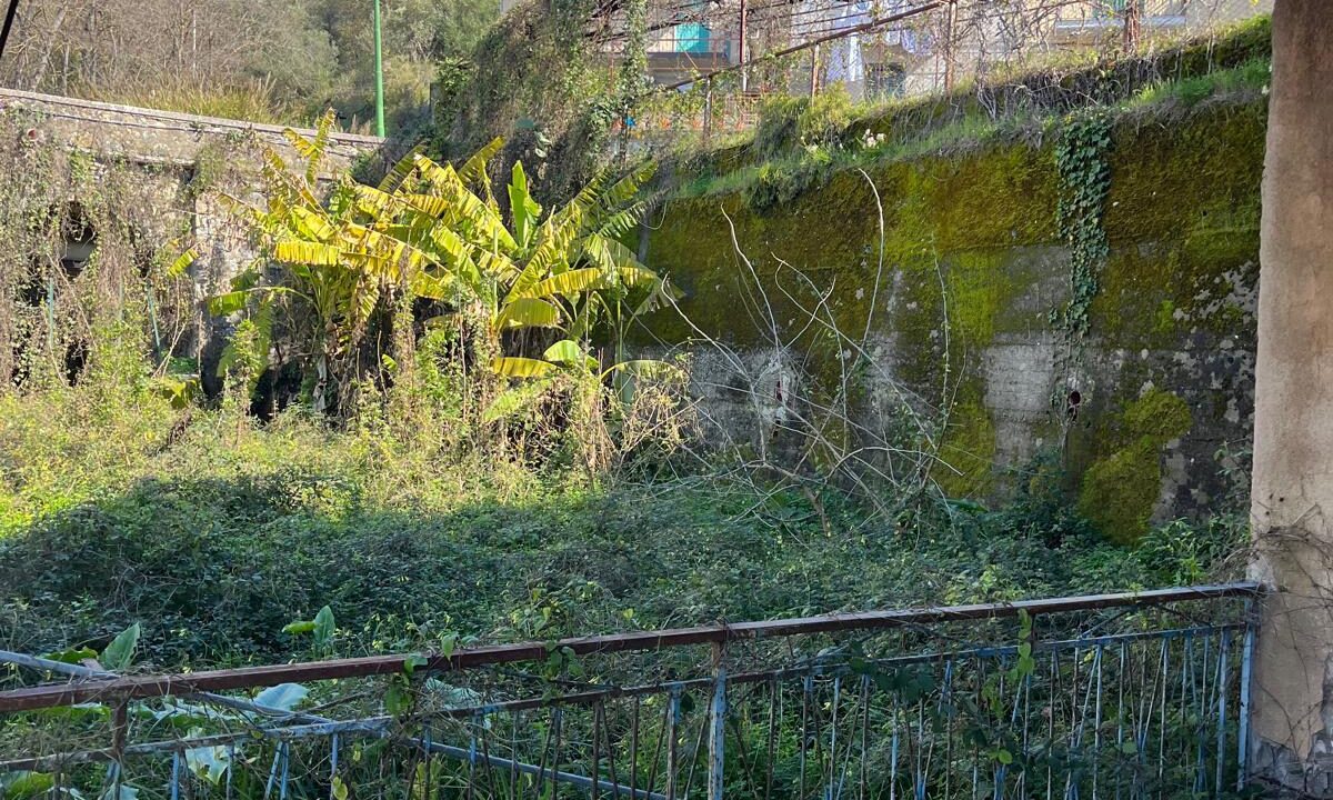 WhatsApp Image 2026-02-23 at 12.10.04 (1)