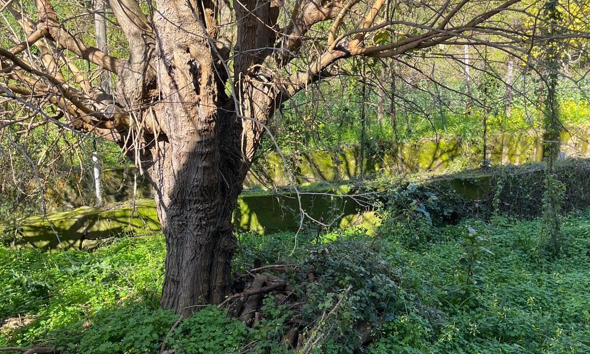 WhatsApp Image 2026-02-23 at 12.10.04