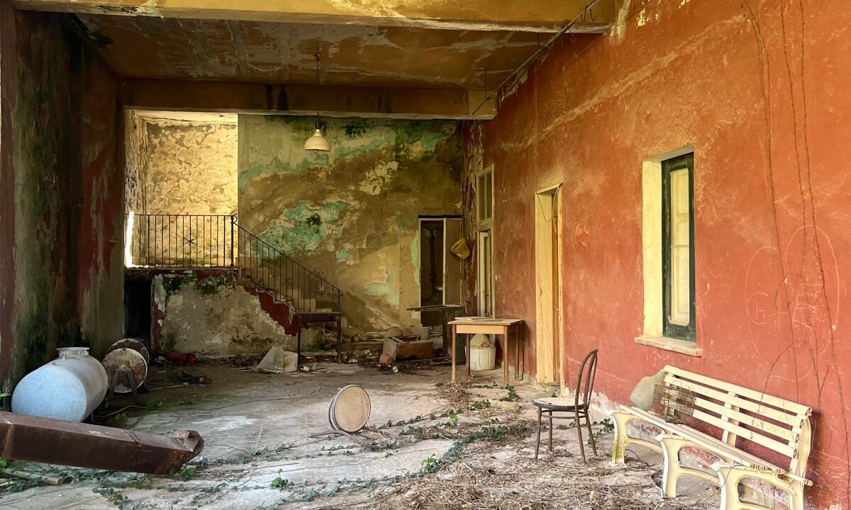 WhatsApp Image 2026-02-23 at 12.10.04 (3)