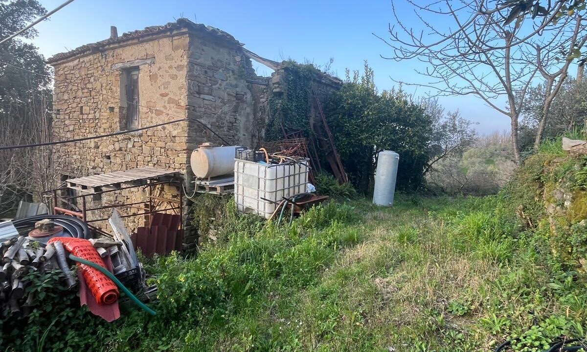 WhatsApp Image 2026-02-28 at 17.12.33 (1)