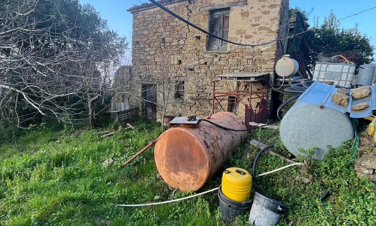 WhatsApp Image 2026-02-28 at 17.12.33