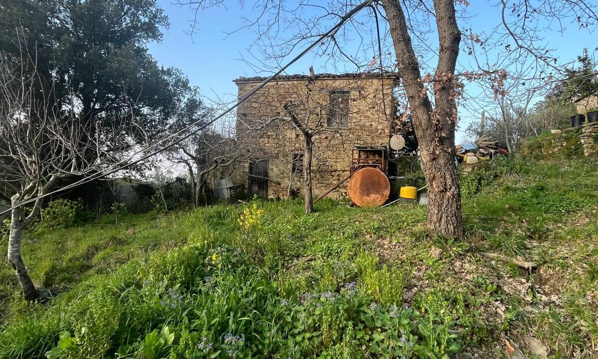 WhatsApp Image 2026-02-28 at 17.12.34 (1)