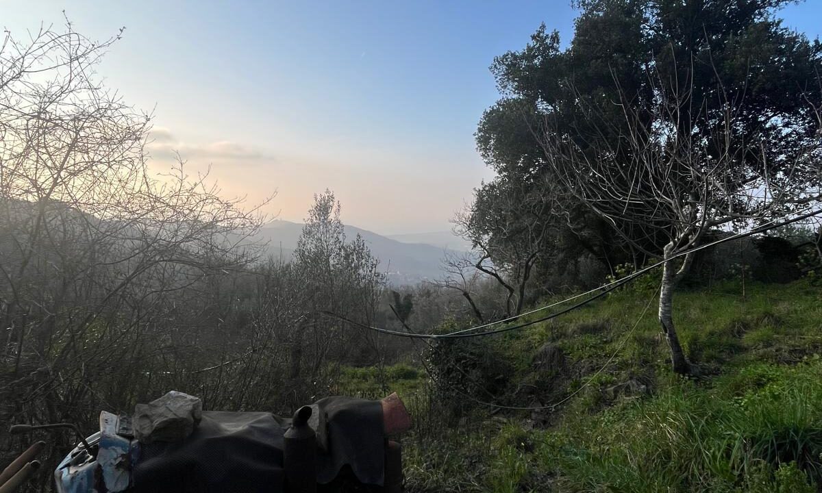 WhatsApp Image 2026-02-28 at 17.12.34 (2)