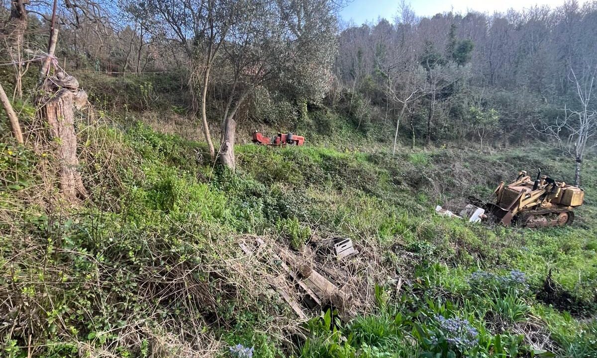 WhatsApp Image 2026-02-28 at 17.12.34 (3)